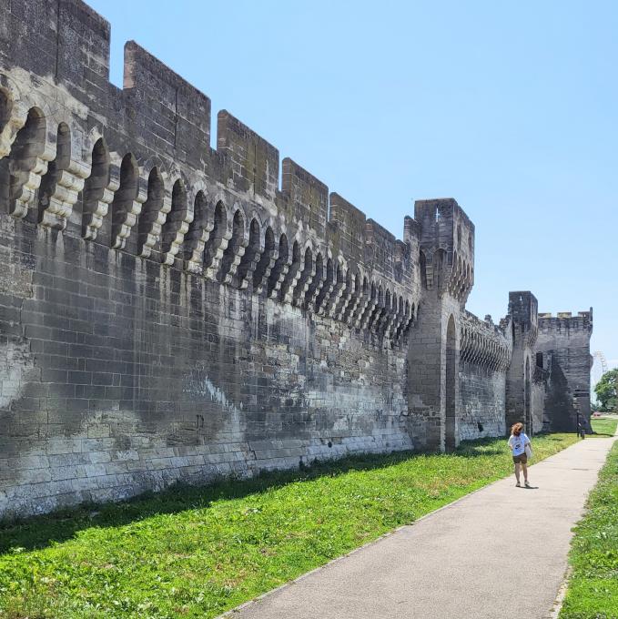 france/provence-alpes-cote-d-azur/avignon/remparts