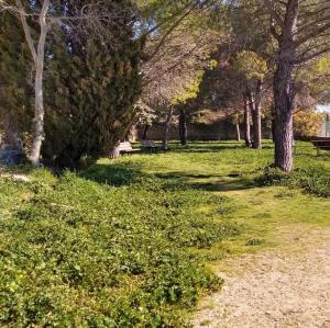 france/provence-alpes-cote-d-azur/bonnieux/eglise-haute