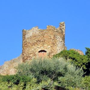 france/provence-alpes-cote-d-azur/bormes-les-mimosas/chateau-des-seigneurs-de-foz