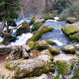 france/provence-alpes-cote-d-azur/fontaine-de-vaucluse/resurgence-de-la-sorgue