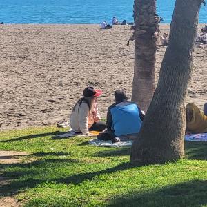 france/provence-alpes-cote-d-azur/ile-de-port-cros/plage-sud