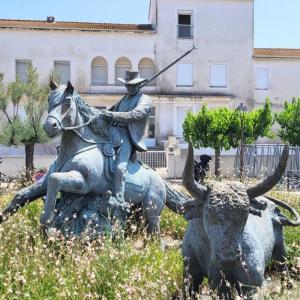 france/provence-alpes-cote-d-azur/les-saintes-maries-de-la-mer