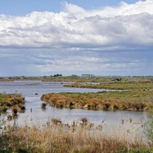 france/provence-alpes-cote-d-azur/les-saintes-maries-de-la-mer/parc-ornithologique-de-pont-de-gau