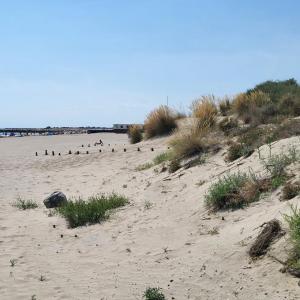 france/provence-alpes-cote-d-azur/les-saintes-maries-de-la-mer/plage-crin-blanc