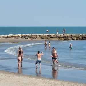 france/provence-alpes-cote-d-azur/les-saintes-maries-de-la-mer/promenade-plage