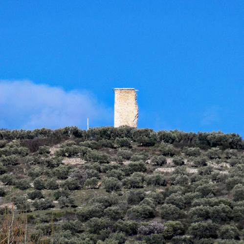 france/provence-alpes-cote-d-azur/manosque/mont-d-or