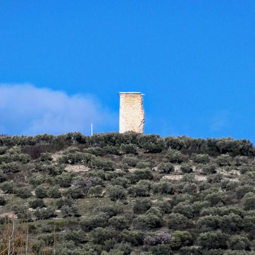 france/provence-alpes-cote-d-azur/manosque/mont-d-or