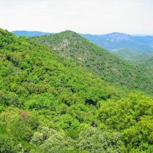 france/provence-alpes-cote-d-azur/massif-des-maures