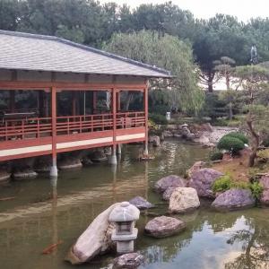 france/provence-alpes-cote-d-azur/monaco/jardin-japonais