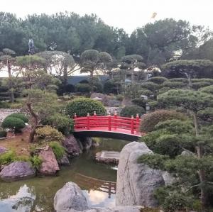 france/provence-alpes-cote-d-azur/monaco/jardin-japonais