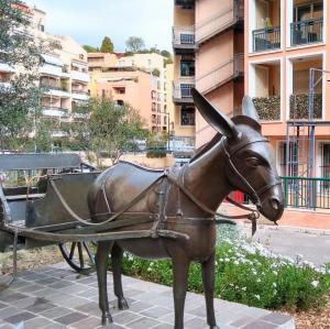 france/provence-alpes-cote-d-azur/monaco/jardins-et-roseraie-princesse-grace