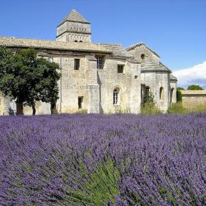 france/provence-alpes-cote-d-azur/saint-remy-de-provence/monastere-saint-paul-de-mausole-centre-culturel