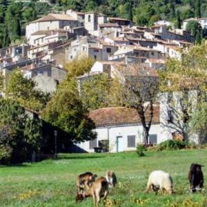 france/provence-alpes-cote-d-azur/seillans