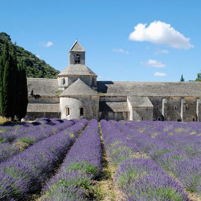 france/provence-alpes-cote-d-azur/senanque