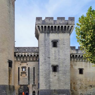 france/provence-alpes-cote-d-azur/tarascon/chateau-du-roi-rene