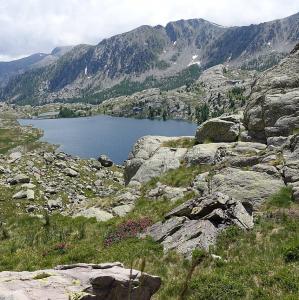 france/provence-alpes-cote-d-azur/vallee-des-merveilles