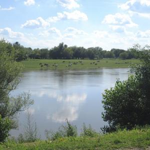 hrvatska/park-prirode-lonjsko-polje