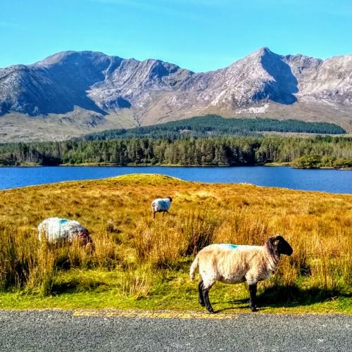 ireland/connemara