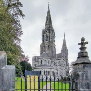 ireland/cork/saint-fin-barre-s-cathedral
