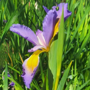 ireland/derrynane-national-historic-park