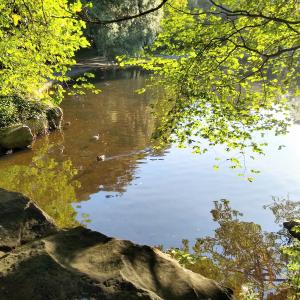 ireland/dublin/saint-stephen-s-green