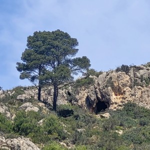 ireland/joyce-country