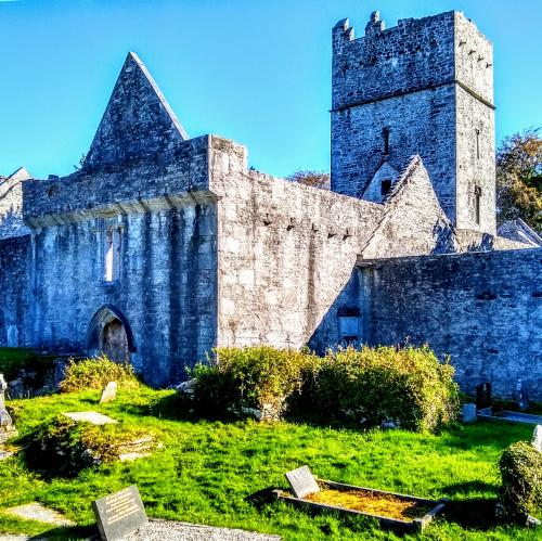 ireland/killarney-national-park/muckross-abbey