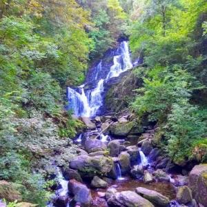 ireland/killarney-national-park/torc-waterfall