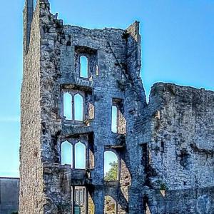 ireland/limerick/fanning-castle