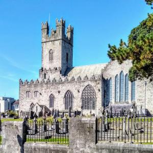 ireland/limerick/saint-mary-cathedral