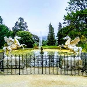 ireland/powerscourt-estate/horses