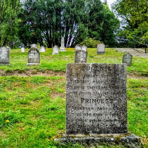 ireland/powerscourt-estate/pets-cemetery