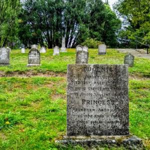 ireland/powerscourt-estate/pets-cemetery