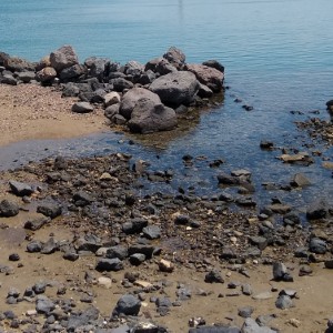 ireland/saltee-islands