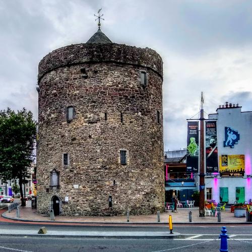 ireland/waterford/reginald-s-tower