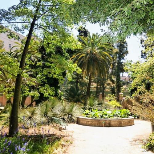 italia/cagliari/orto-botanico