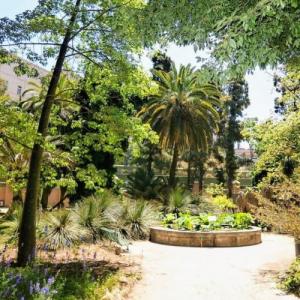 italia/cagliari/orto-botanico