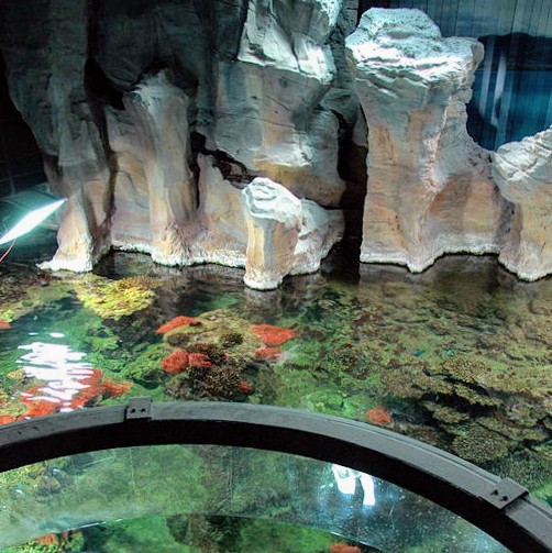 italia/genova/acquario