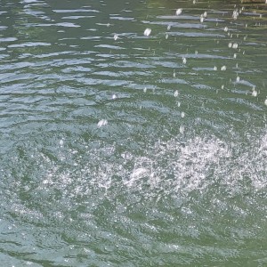 italia/gole-dell-alcantara