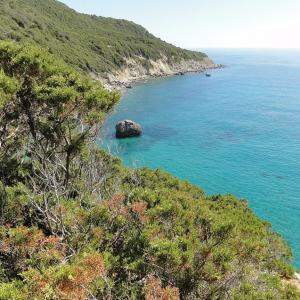 italia/isola-del-giglio