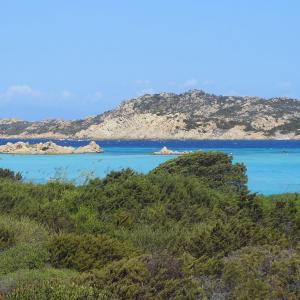 italia/isola-della-maddalena