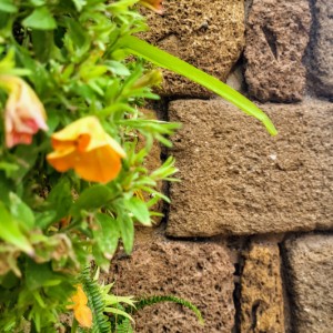 italia/monte-san-giovanni-campano