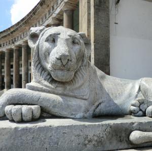 italia/napoli