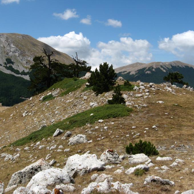 italia/parco-nazionale-del-pollino