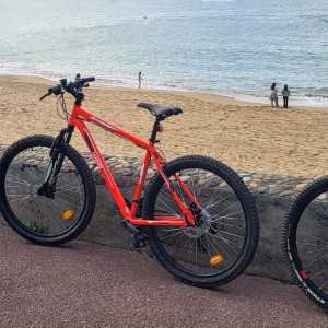 italia/promontorio-di-portofino