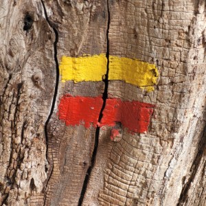 italia/riserva-naturale-regionale-calanchi-di-atri