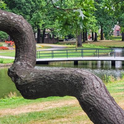 nederland/apeldoorn/oranjepark