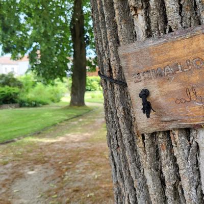 nederland/arnhem/park-sonsbeek