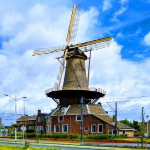 nederland/delft/molen-the-roos