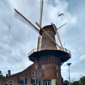 nederland/delft/molen-the-roos